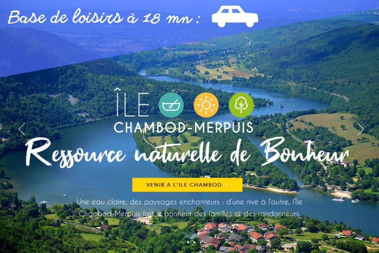 L'Emeraude - 1 A 4P - Wifi Fibre - Parking Gratuit Pont-dʼAin Dış mekan fotoğraf