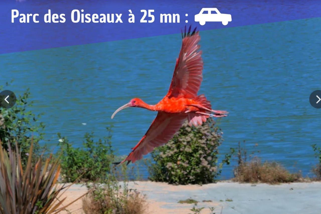 L'Emeraude - 1 A 4P - Wifi Fibre - Parking Gratuit Pont-dʼAin Dış mekan fotoğraf